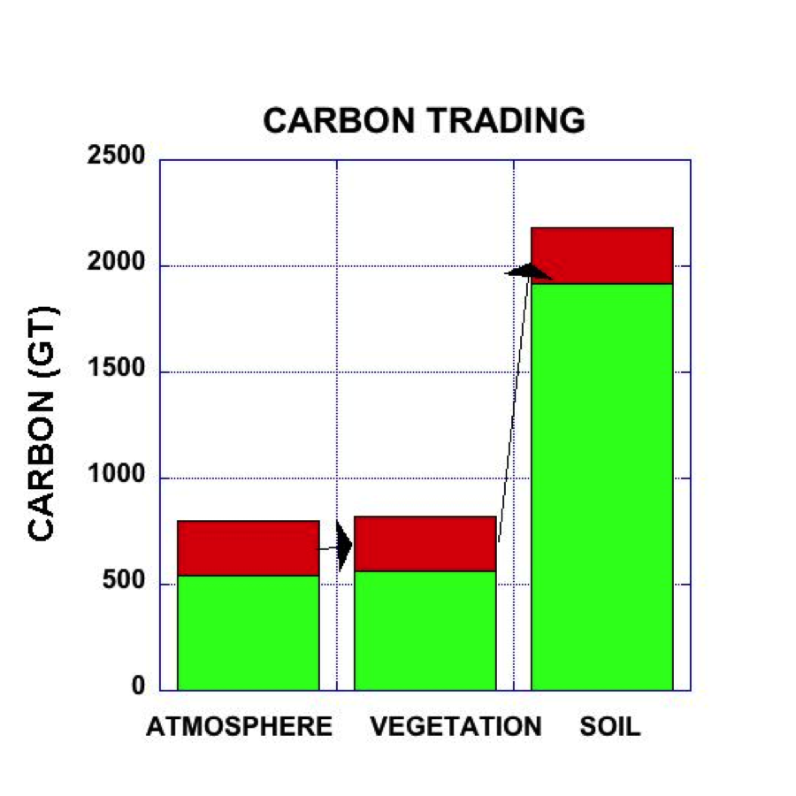 Carbon contents of atmosphere, vegetation, and soil, showing transfer of the anthropogenic excess, shown in red. In the left column green represents the preindustrial CO2 level, the current value is the green plus red column. To get transfer of all the excess to the current biosphere (green, middle column) would be an equally large increase, but if that is transferred to the current soil carbon (green, right column) the proportional increase is small. Soil carbon estimates to a depth of 2.3 meters are based on Shangguang et al., 2014. Note that this is an underestimate because it does not include carbon in deeper soil horizons. Also note that wetland carbon and marine mangrove and seagrass carbon may also be equivalent in magnitude to soil, but current estimates are too poor to show.