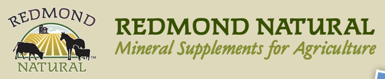 redmond.png